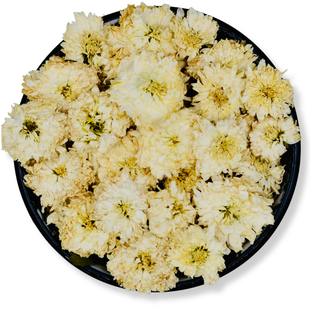 Chrysanthemen (getrocknet)