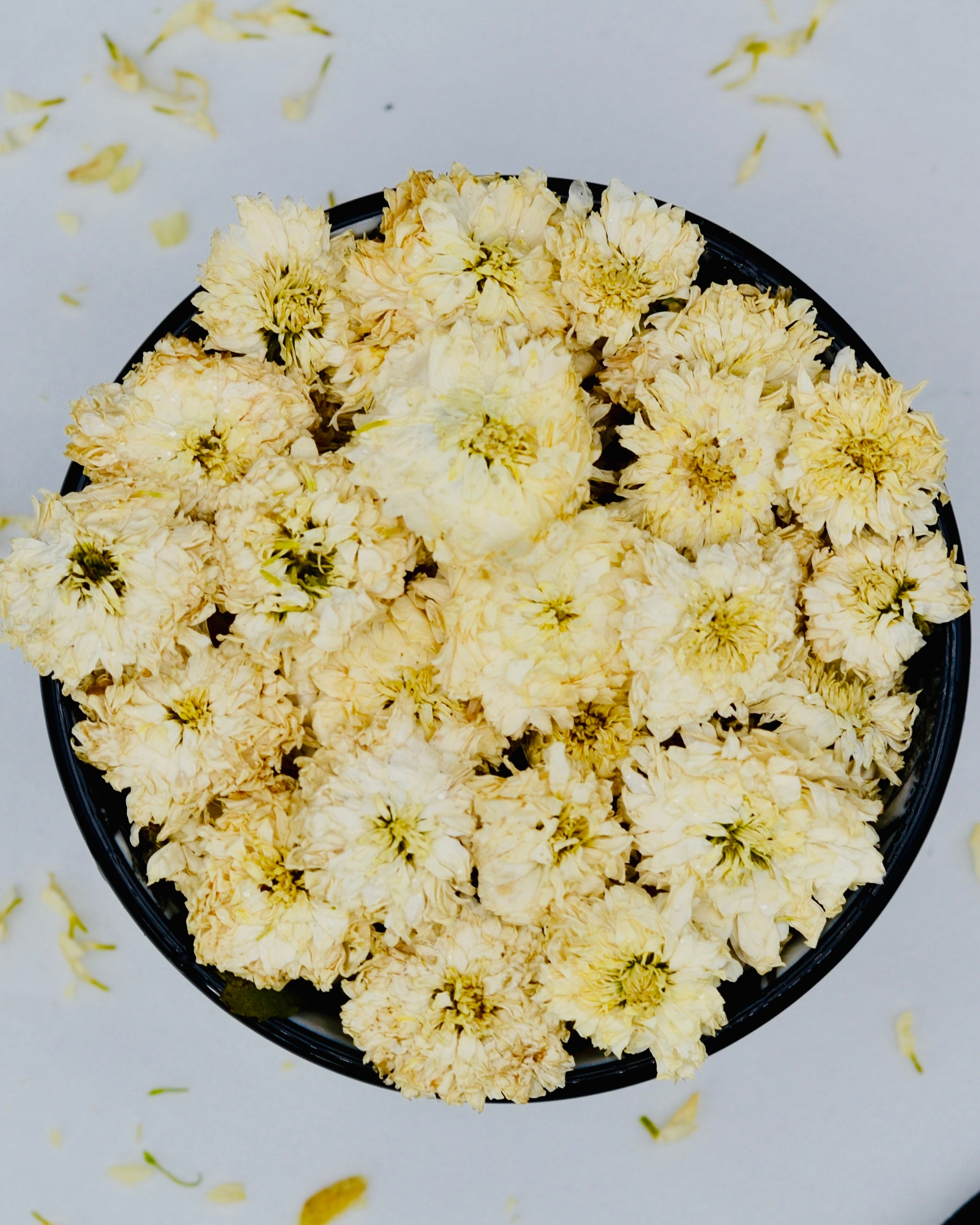 Chrysanthemen (getrocknet) | mit intensivem Geschmack